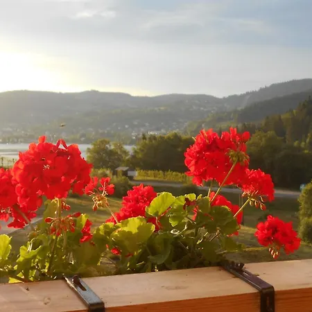 : 43m2, Classe 3*, Vue * Gerardmer